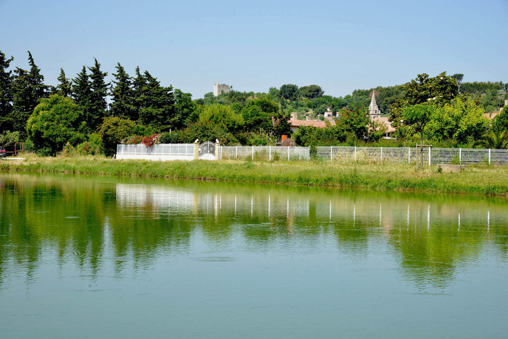 Que Faire à Bellegarde ? Ville de Bellegarde (Gard) site officiel