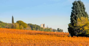 la chateau de bellegarde et son terroir