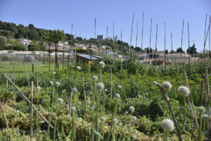  jardins familiaux partagés à bellegarde