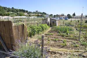 potagers partagés à bellegarde