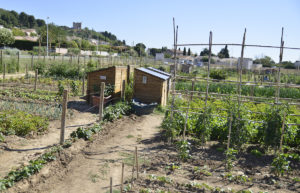 jardins potagers en partage à bellegarde