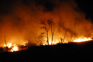 photo d'un incendie de foret
