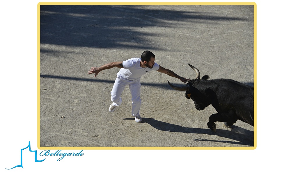 Courses camarguaises Octobre 2020