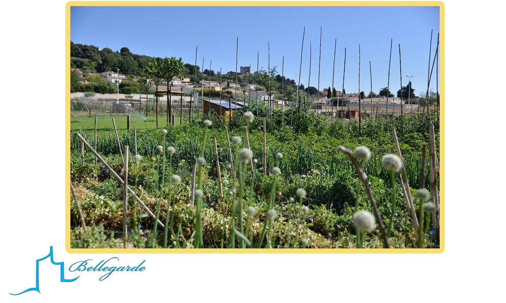 L’eau une ressource Vitale Samedi 3 octobre -9h30-12h30- Jardins familiaux de Bellegarde