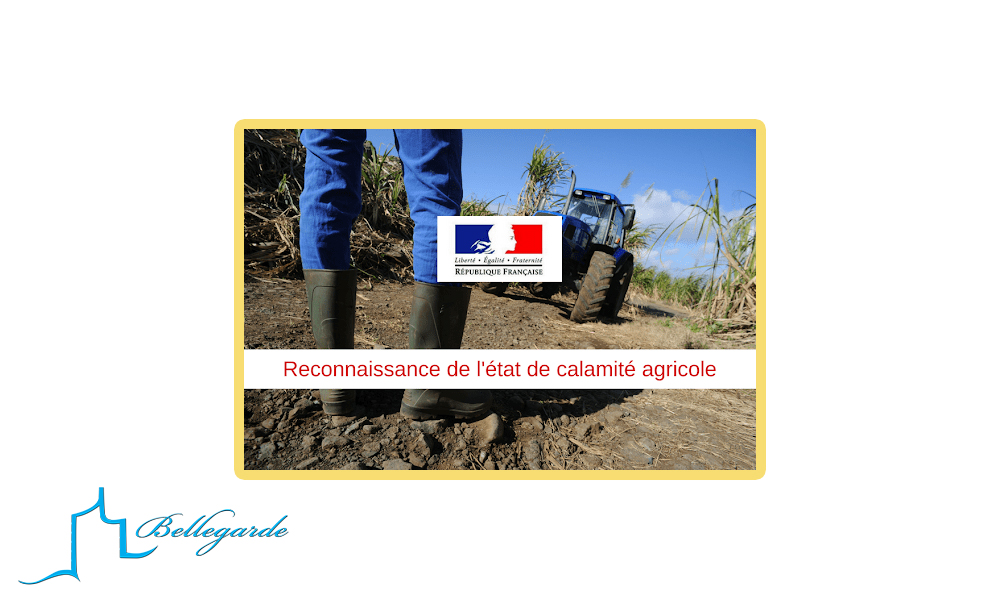 RECONNAISSANCE CALAMITÉS AGRICOLES