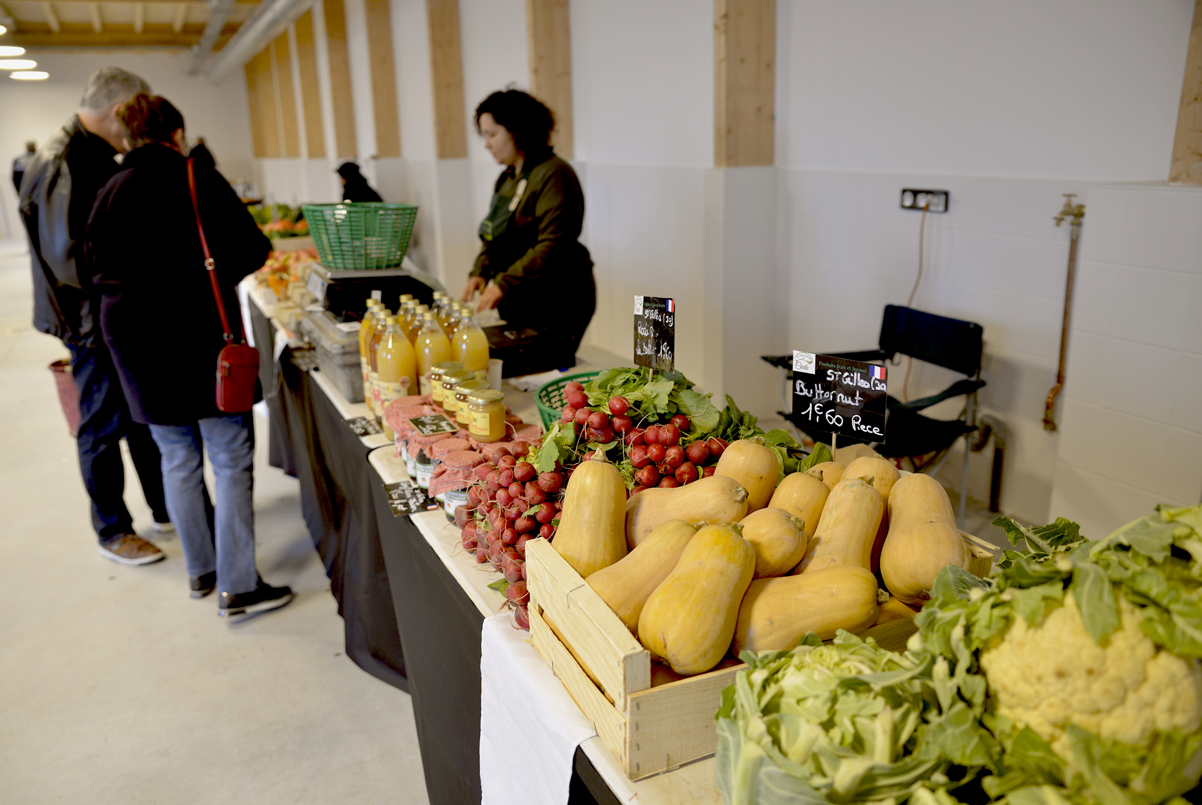 halle (1) maquette 3D halles Bellegarde